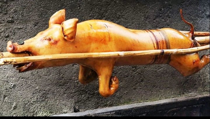 Cerdo asado 10 lb's foto | AlKombomaster |  BizneCubano