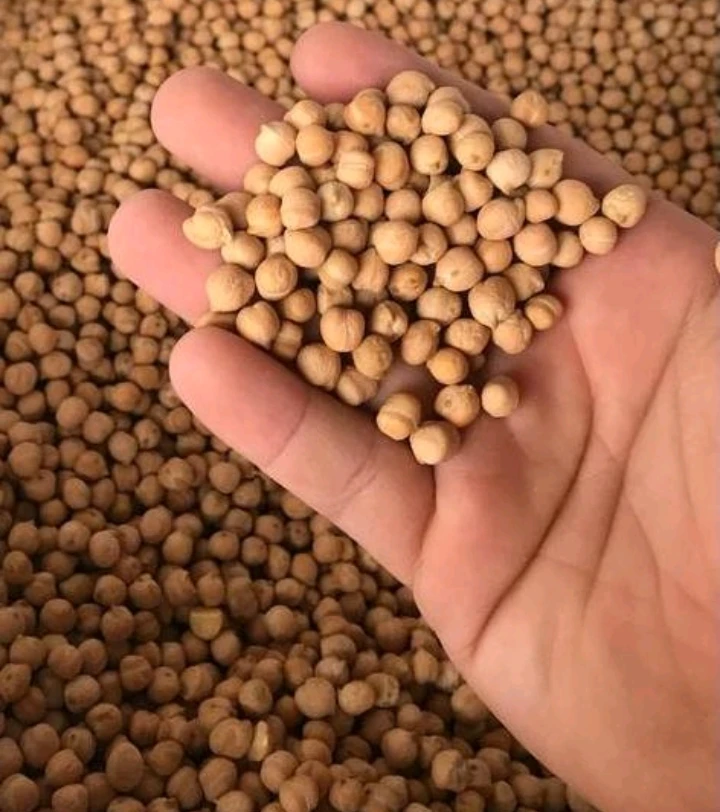 Garbanzo por lb's foto | AlKombomaster |  BizneCubano
