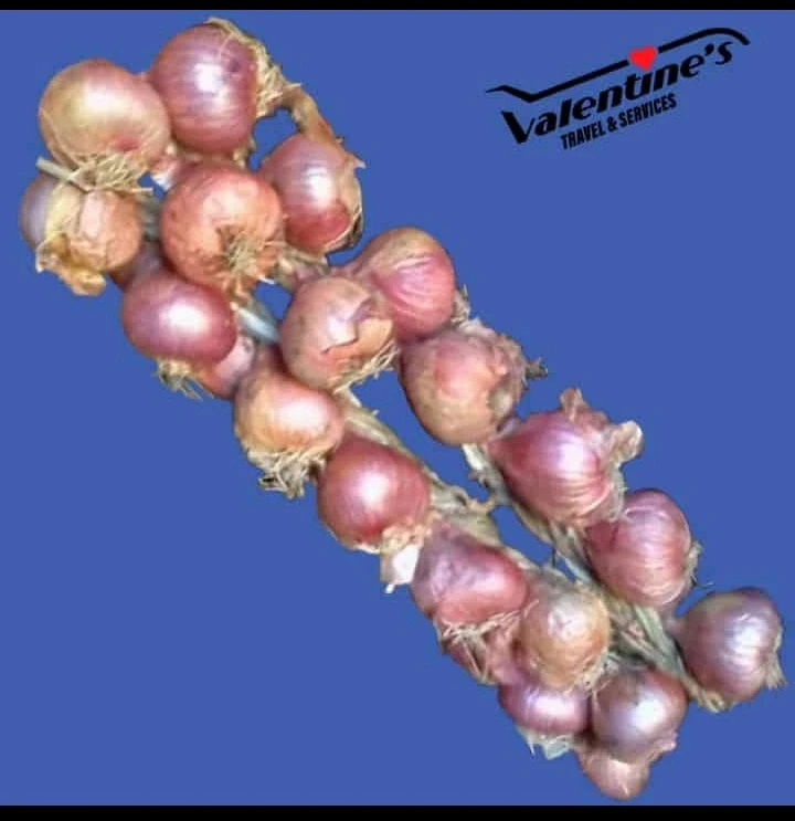 Cebolla morada 40 unidades's foto | AlKombomaster |  BizneCubano